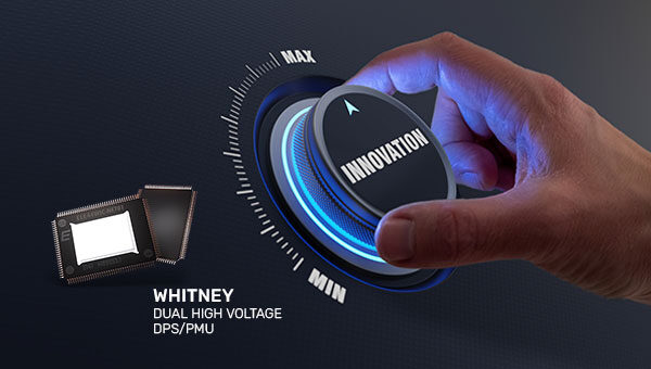 whitneydual